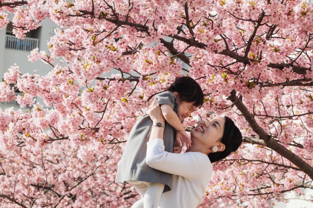 人们在日本东京旧中川沿岸的樱花树下。图片来源：新华社