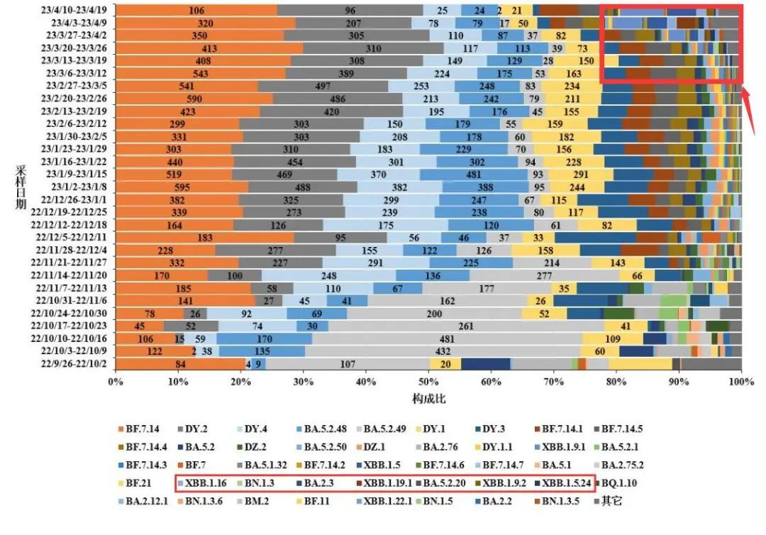 XBB系列检出率在上升