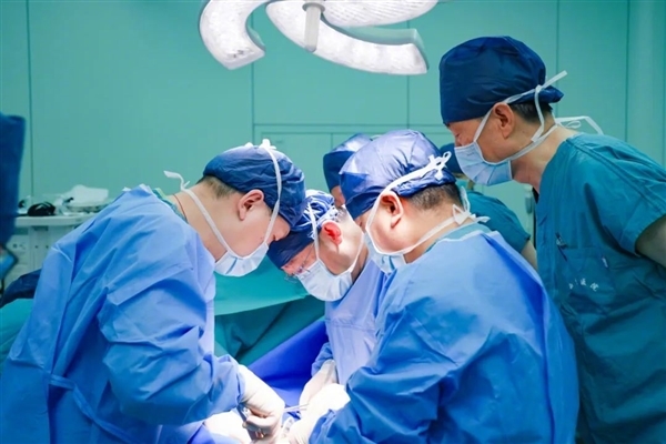 我国异种移植重大突破!亚洲首例猪肾移植人体261天后摘除