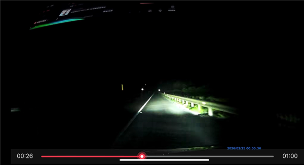 严重BUG!男子夜间高速开车误用语音关闭大灯致事故